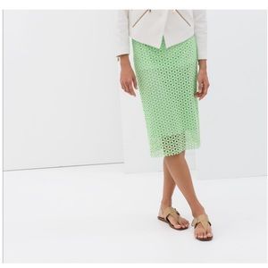 NWOT Green Skirt